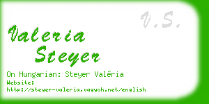 valeria steyer business card